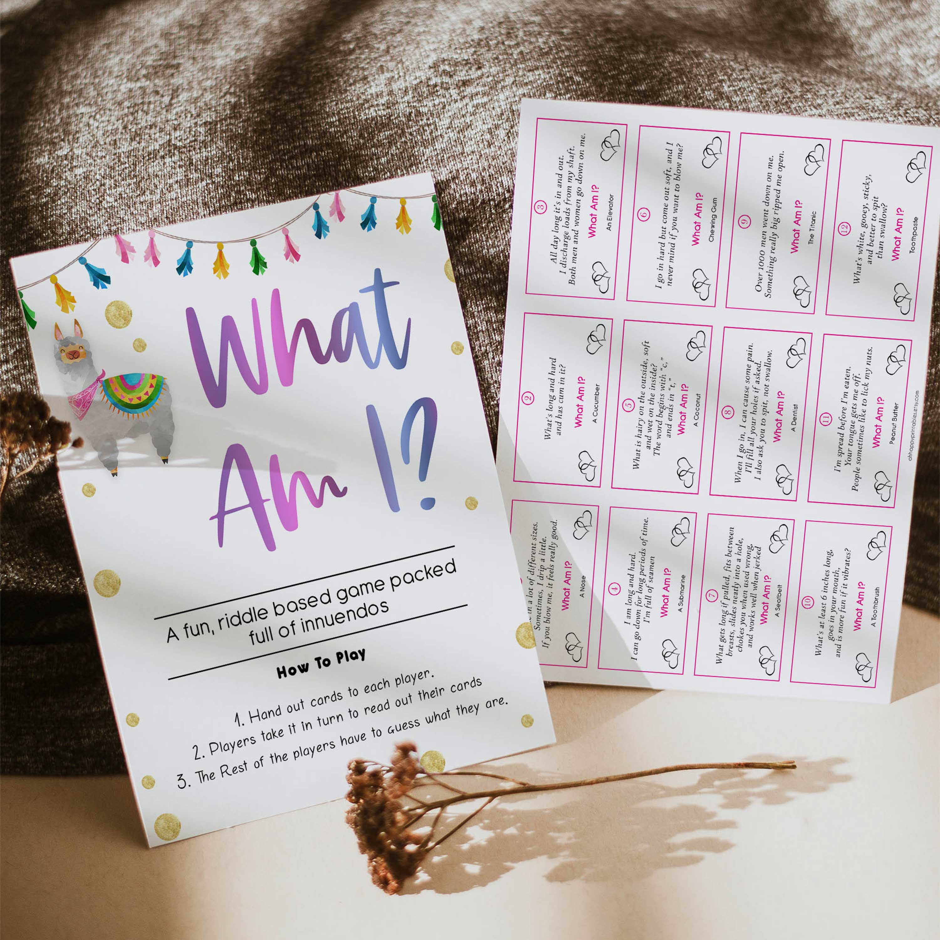 What Am I Game - Llama Fiesta Printable Baby Games – OhHappyPrintables