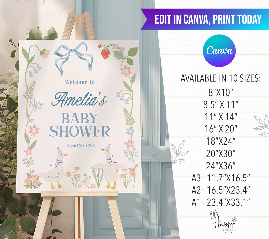 Boy Silly Goose Baby Welcome Sign