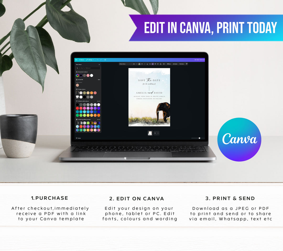 South Africa Elephant Destination Save The Date