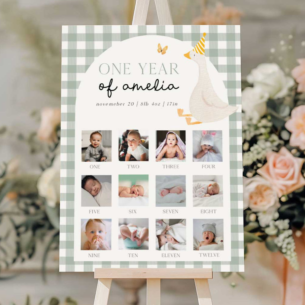 One Silly Goose Green First Year Photos