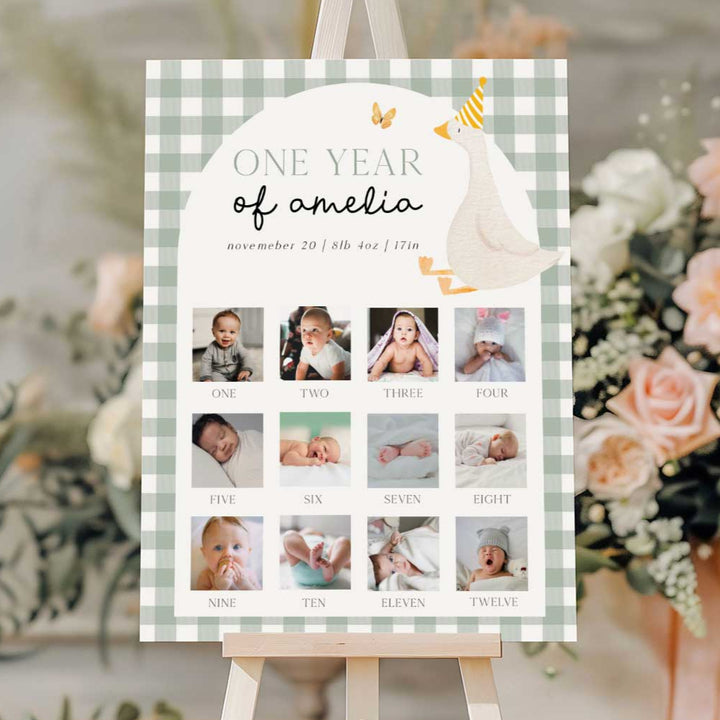 One Silly Goose Green First Year Photos