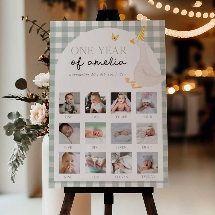 One Silly Goose Green First Year Photos