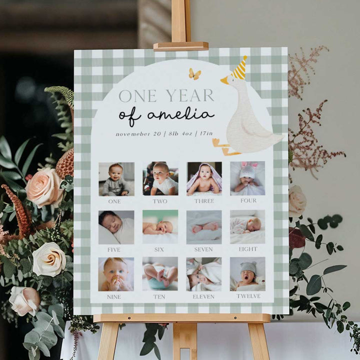 One Silly Goose Green First Year Photos