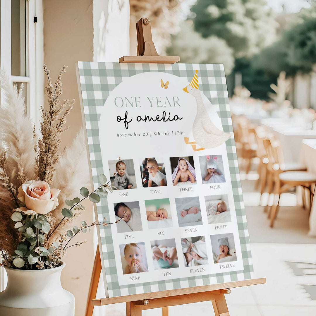 One Silly Goose Green First Year Photos