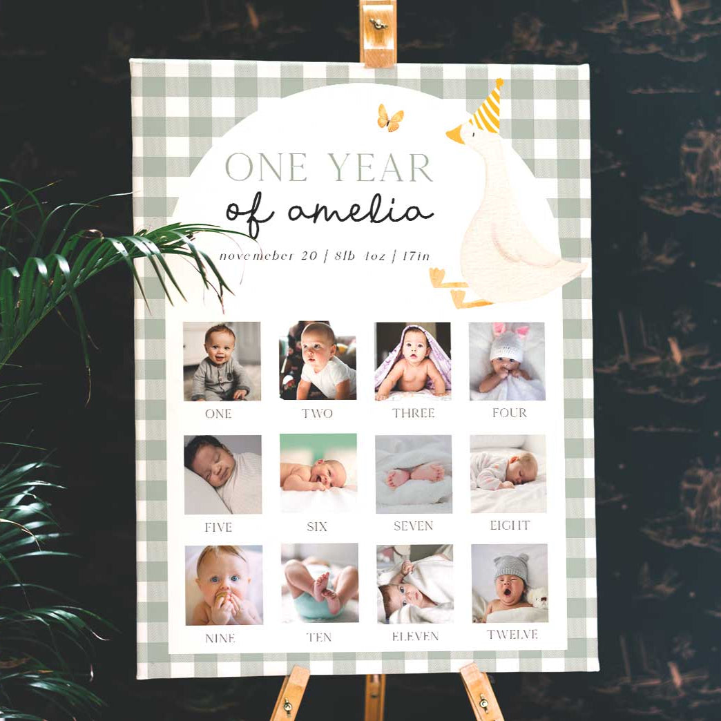 One Silly Goose Green First Year Photos