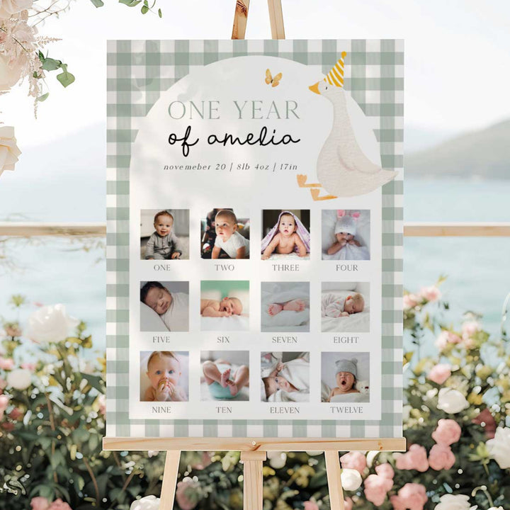 One Silly Goose Green First Year Photos