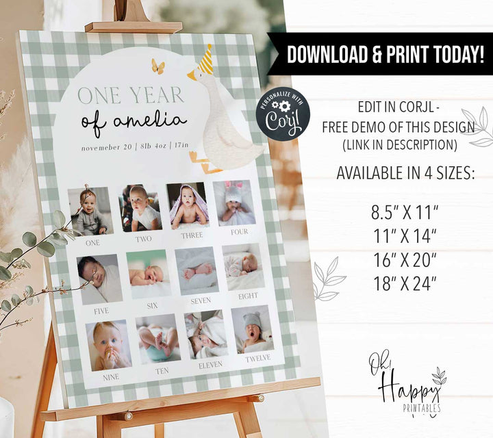 One Silly Goose Green First Year Photos