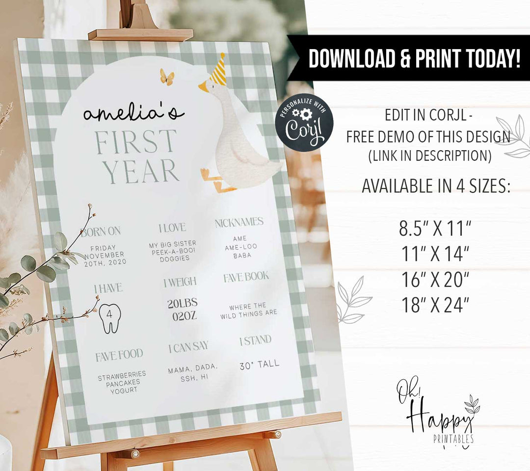 One Silly Goose Green First Year Stats