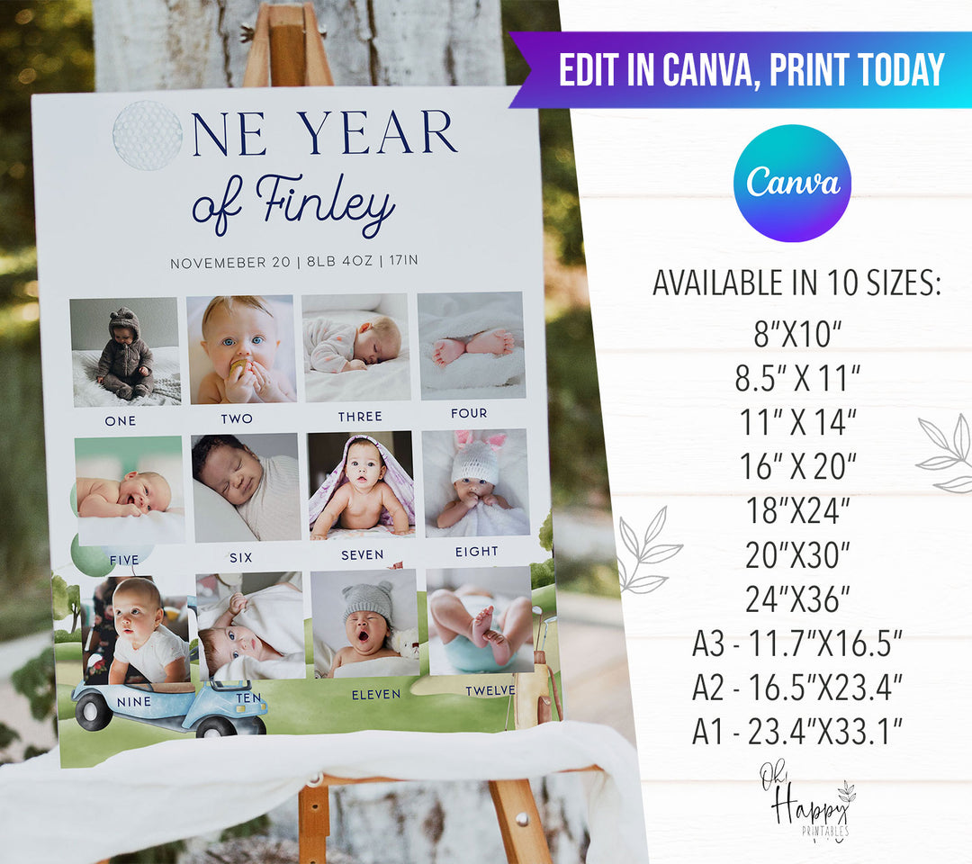 Hole In One First Birthday Photos