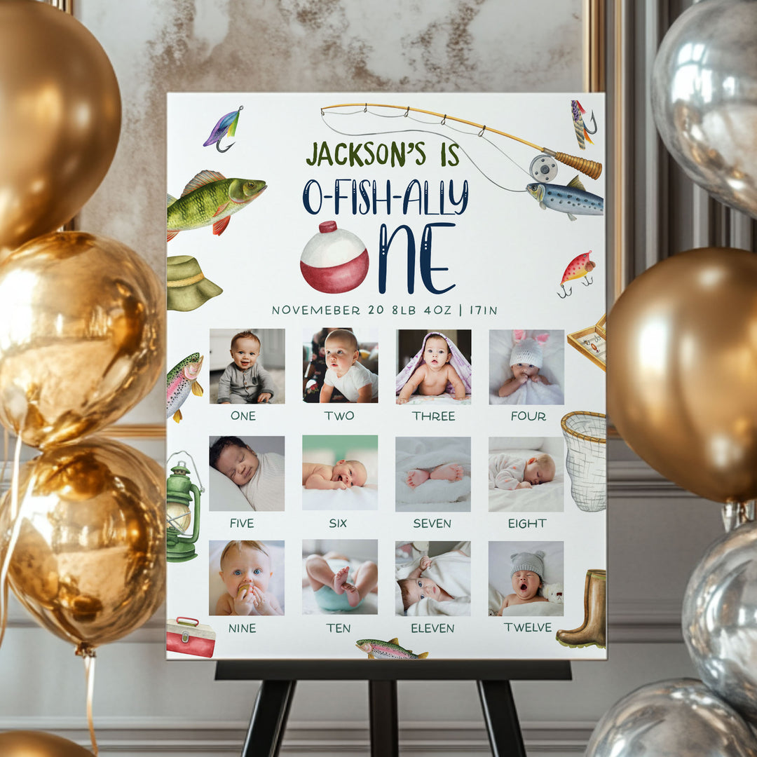 O Fish Ally One My First Year Photos Milestone