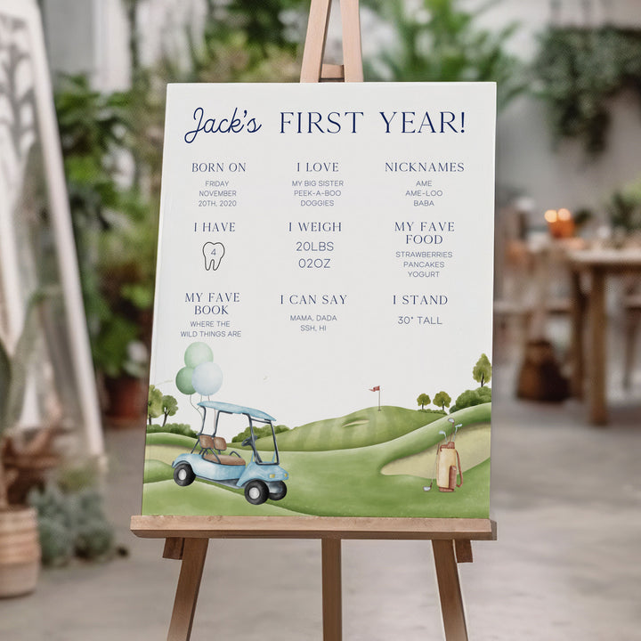 Hole In One First Birthday Stats