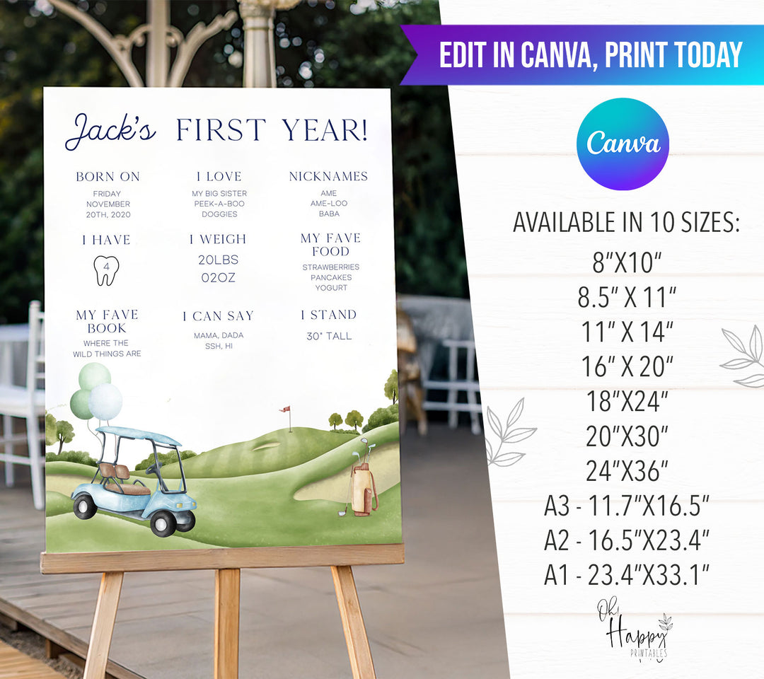 Hole In One First Birthday Stats