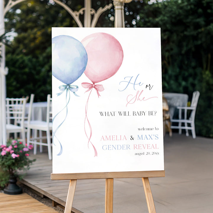 Gender Reveal Welcome Sign