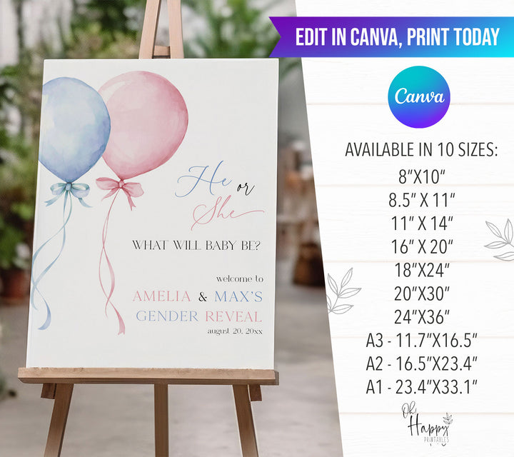 Gender Reveal Welcome Sign