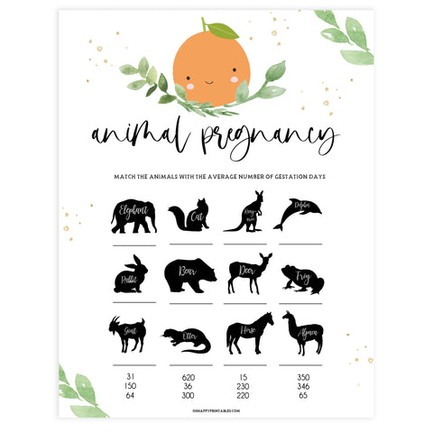 animal pregnancy baby game, Printable baby shower games, little cutie baby games, baby shower games, fun baby shower ideas, top baby shower ideas, little cutie baby shower, baby shower games, fun little cutie baby shower ideas