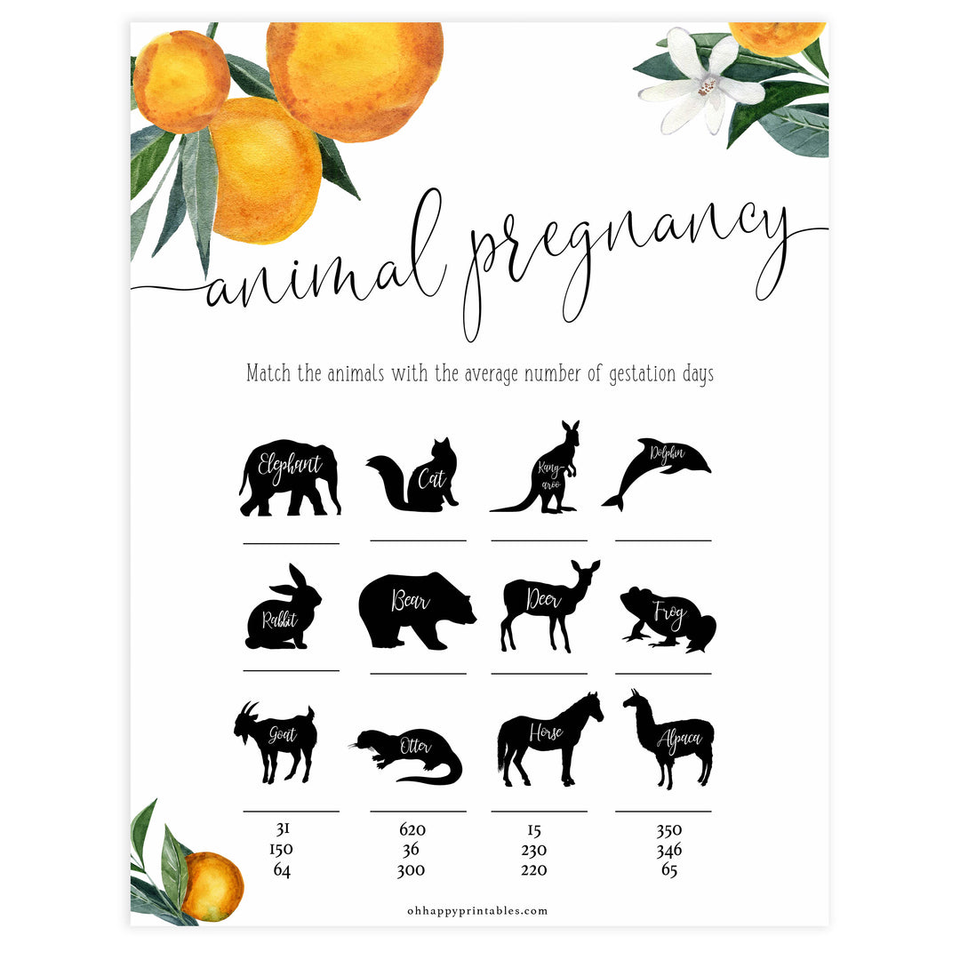 animal pregnancy baby game, Printable baby shower games, little cutie baby games, baby shower games, fun baby shower ideas, top baby shower ideas, little cutie baby shower, baby shower games, fun little cutie baby shower ideas, citrus baby shower games, citrus baby shower, orange baby shower