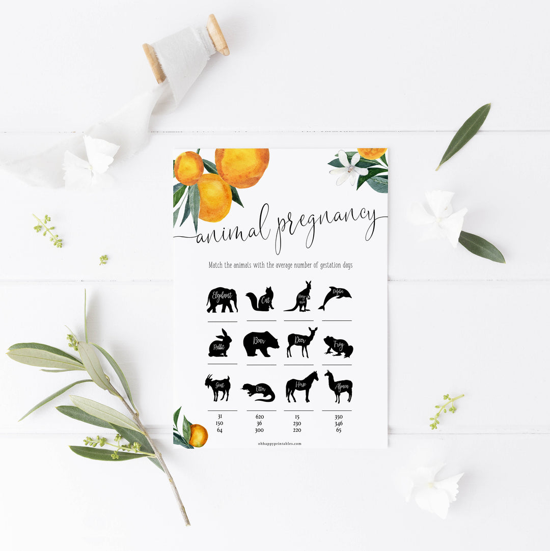 animal pregnancy baby game, Printable baby shower games, little cutie baby games, baby shower games, fun baby shower ideas, top baby shower ideas, little cutie baby shower, baby shower games, fun little cutie baby shower ideas, citrus baby shower games, citrus baby shower, orange baby shower