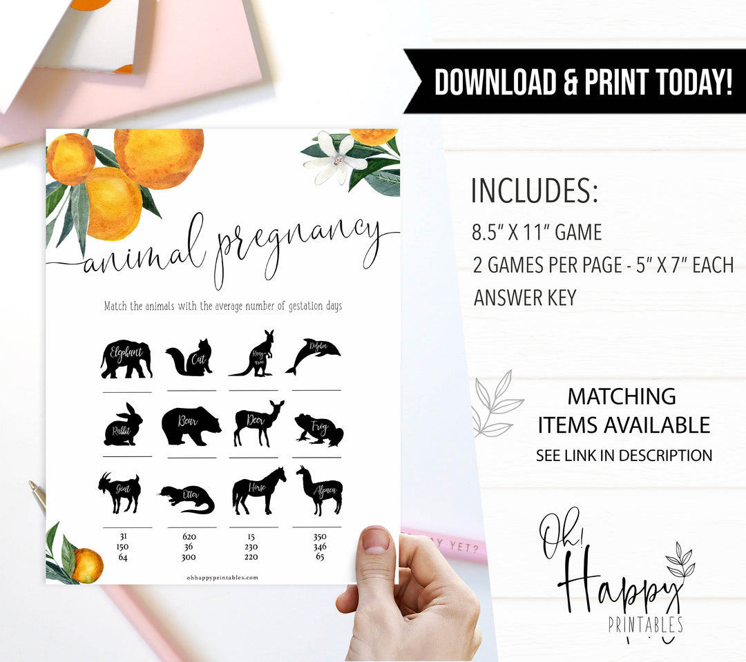 animal pregnancy baby game, Printable baby shower games, little cutie baby games, baby shower games, fun baby shower ideas, top baby shower ideas, little cutie baby shower, baby shower games, fun little cutie baby shower ideas, citrus baby shower games, citrus baby shower, orange baby shower