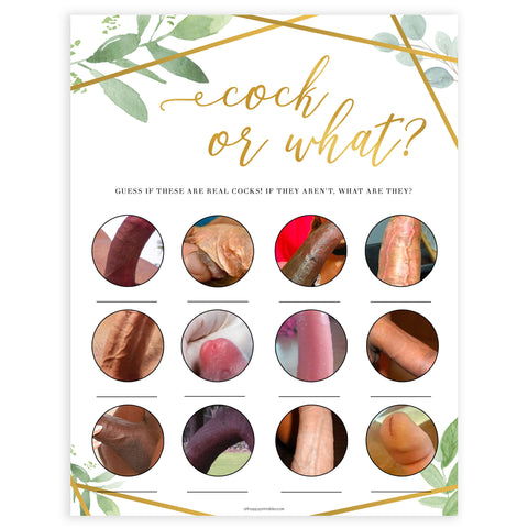 Gold geometric cock or what game, bachelorette games, bridal shower games, adult bridal games, fun bachelorette games, top bridal shower games, top bachelorette games, top 10 bridal games