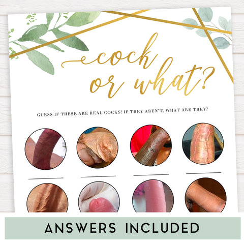 Gold geometric cock or what game, bachelorette games, bridal shower games, adult bridal games, fun bachelorette games, top bridal shower games, top bachelorette games, top 10 bridal games