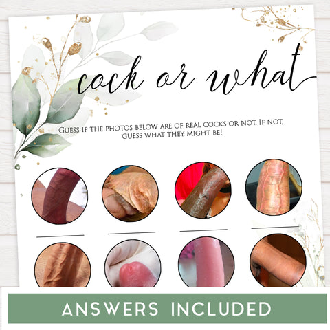 4 bachelorette games, naught bachelorette games, cock or what, drink if, dirty minds game, bachelorette games, gold leaf bridal shower games