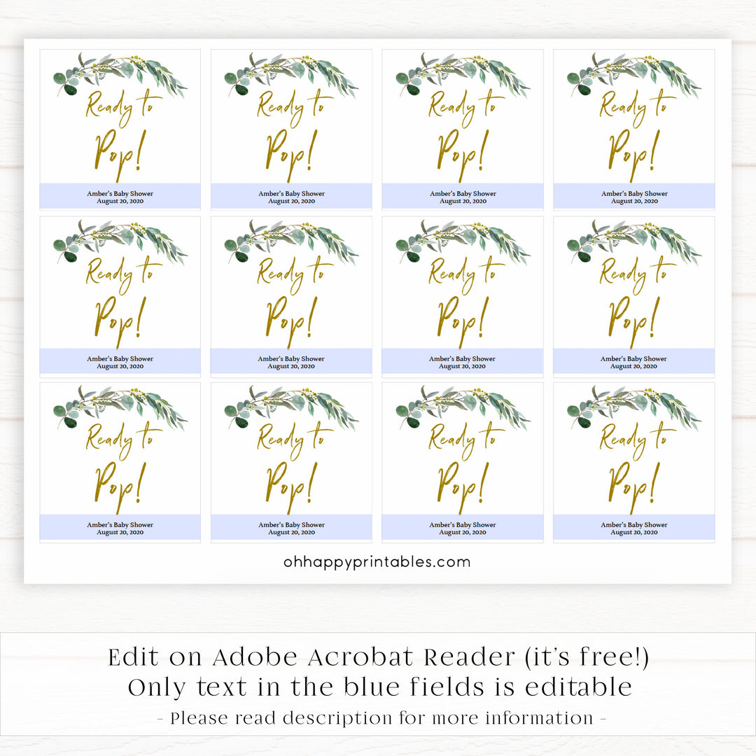 Eucalyptus baby games, ready to pop baby tags, printable baby shower games, fun baby games, top baby games, best baby games, baby shower games