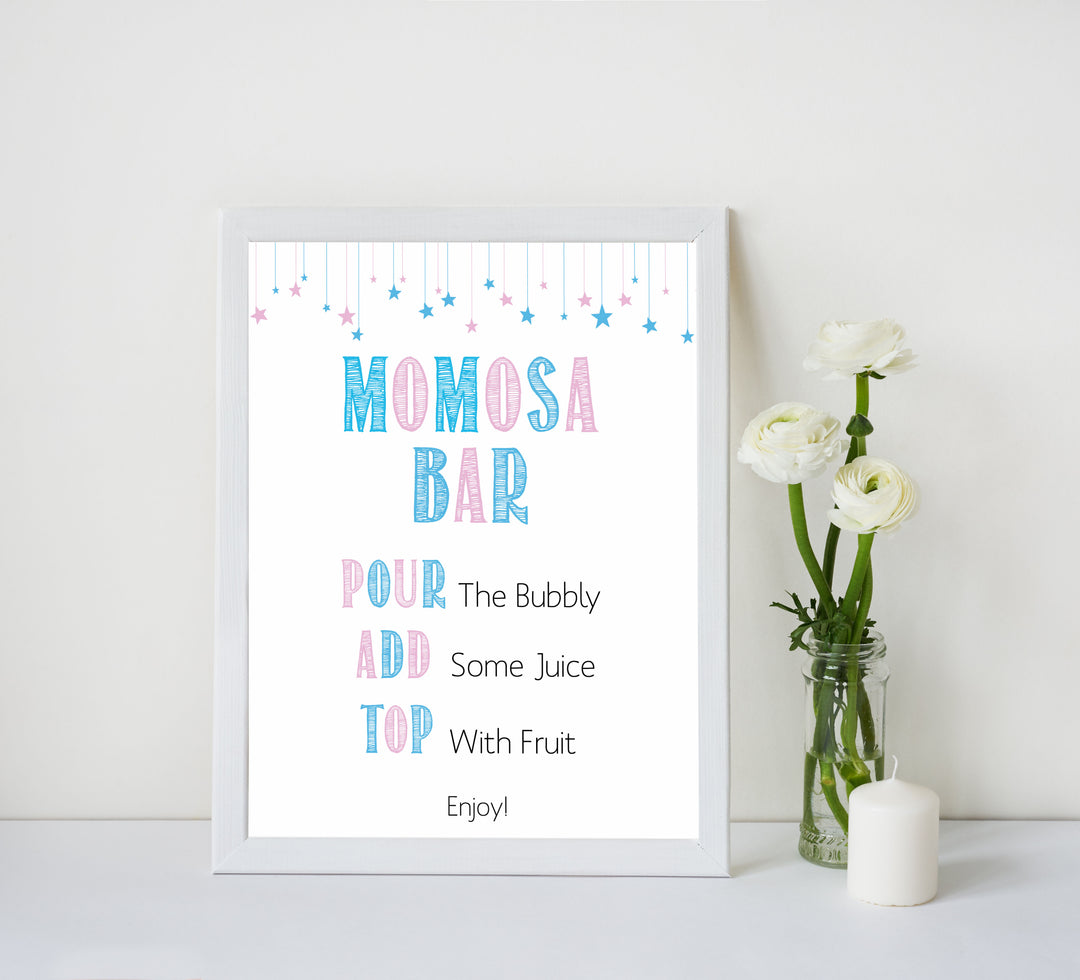 gender reveal baby signs, momosa baby sign, mumosa baby signs, baby shower signs, baby shower idea