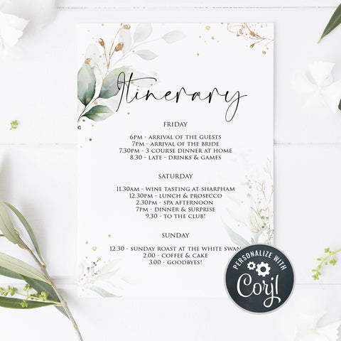 bridal shower itinerary, editable bridal shower invitations, printable bridal shower invites, floral bachelorette invites, hen party invitations, gold floral bridal invitations