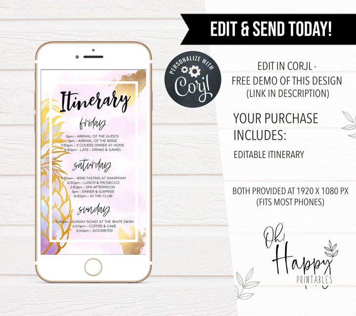 editable bridal shower itinerary, editable bachelorette itinerary, pineapple editable itinerary