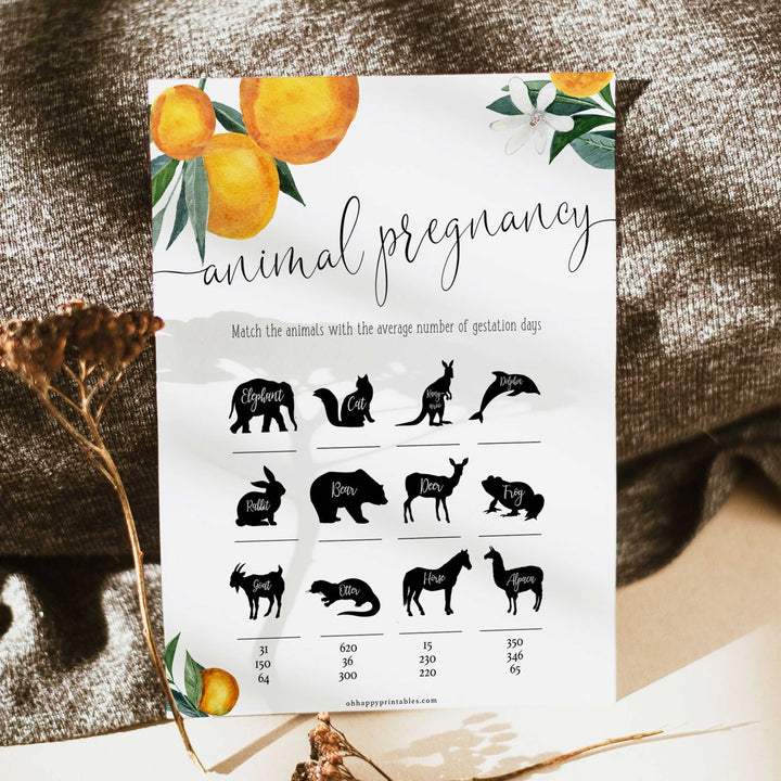 animal pregnancy baby game, Printable baby shower games, little cutie baby games, baby shower games, fun baby shower ideas, top baby shower ideas, little cutie baby shower, baby shower games, fun little cutie baby shower ideas, citrus baby shower games, citrus baby shower, orange baby shower