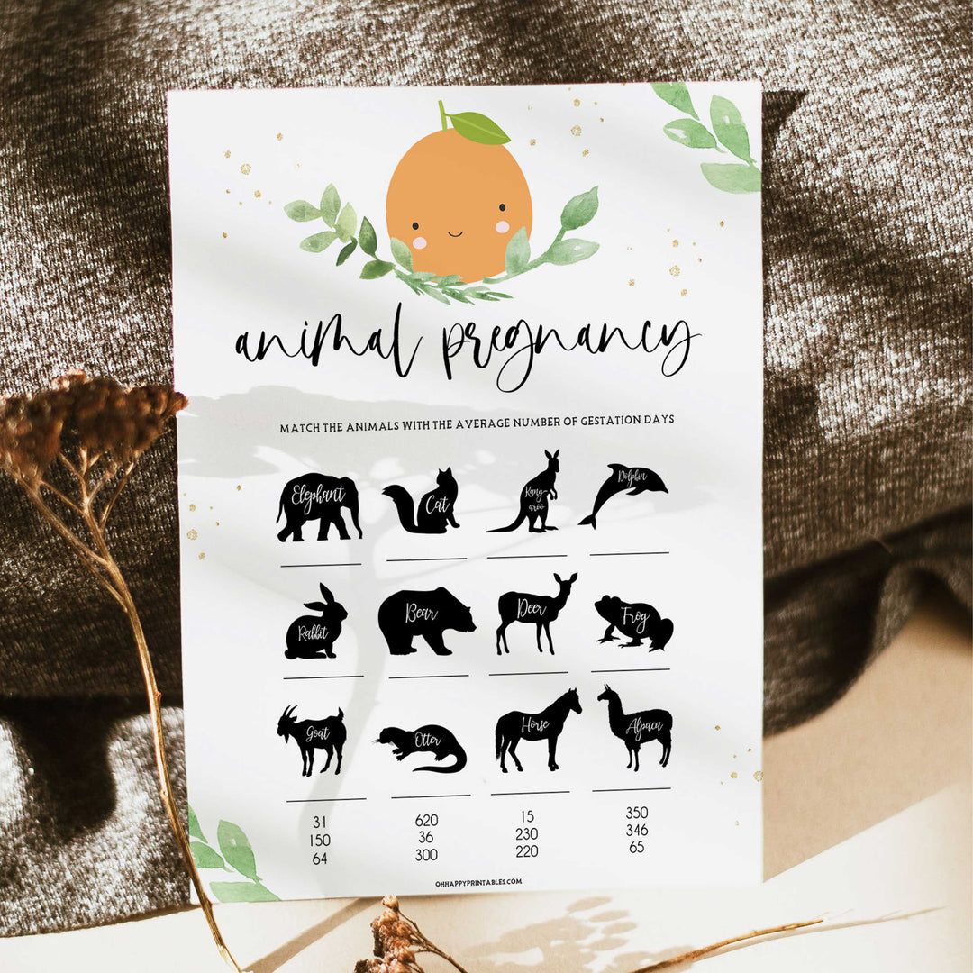 animal pregnancy baby game, Printable baby shower games, little cutie baby games, baby shower games, fun baby shower ideas, top baby shower ideas, little cutie baby shower, baby shower games, fun little cutie baby shower ideas