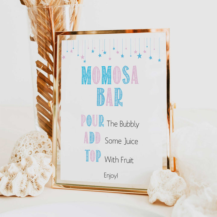 gender reveal baby signs, momosa baby sign, mumosa baby signs, baby shower signs, baby shower idea