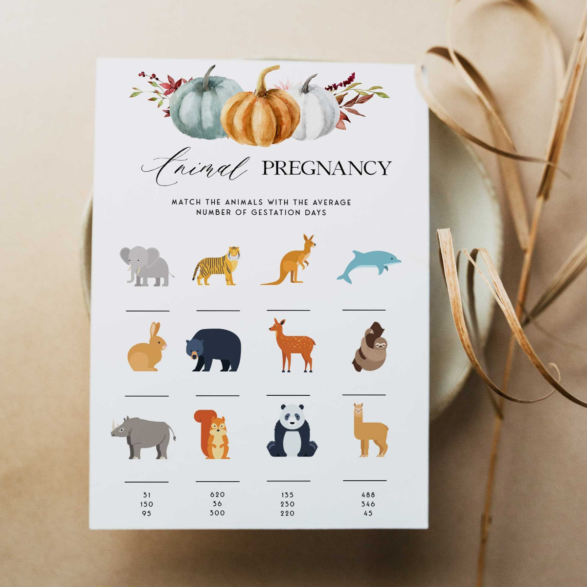 Fully editable and printable baby shower animal pregnancy game with a fall pumpkin design. Perfect for a Fall Pumpkin baby shower themed party