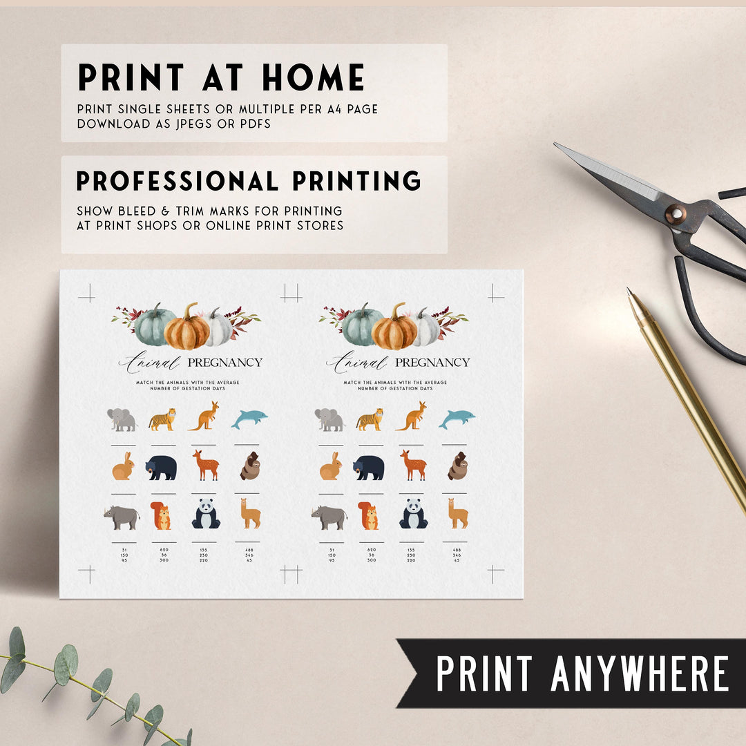 Fully editable and printable baby shower animal pregnancy game with a fall pumpkin design. Perfect for a Fall Pumpkin baby shower themed party